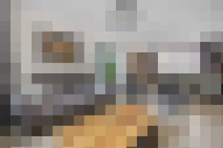 Rembrandtlaan 26 Oudheusden thumbnail 10