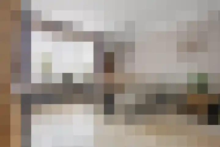 Rembrandtlaan 26 Oudheusden thumbnail 11