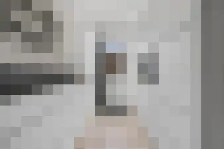 Rembrandtlaan 26 Oudheusden thumbnail 12