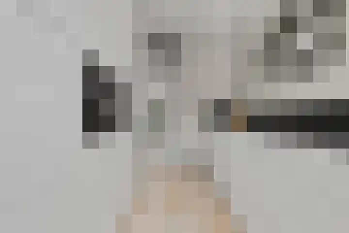 Rembrandtlaan 26 Oudheusden thumbnail 13