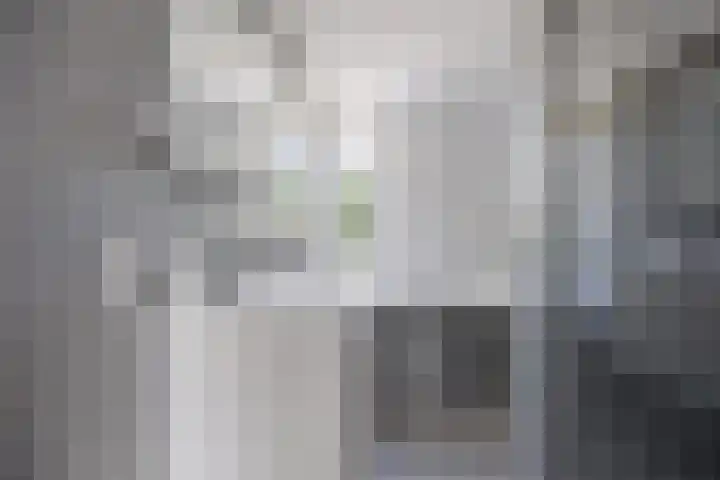 Rembrandtlaan 26 Oudheusden thumbnail 18
