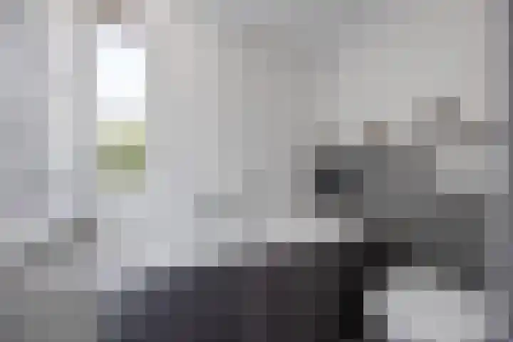 Rembrandtlaan 26 Oudheusden thumbnail 20