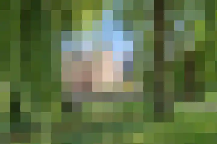 Rembrandtlaan 26 Oudheusden thumbnail 36