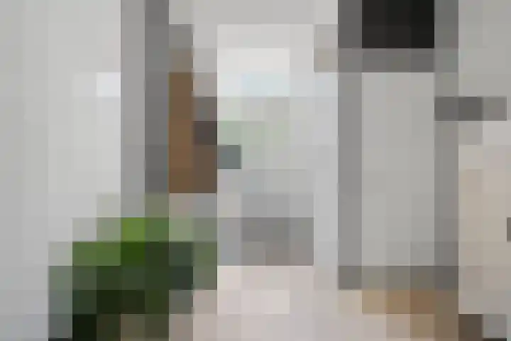Rembrandtlaan 26 Oudheusden thumbnail 5