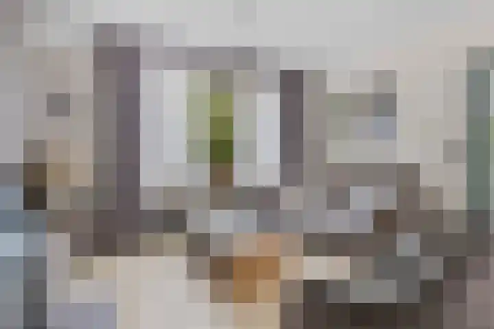 Rembrandtlaan 26 Oudheusden thumbnail 7