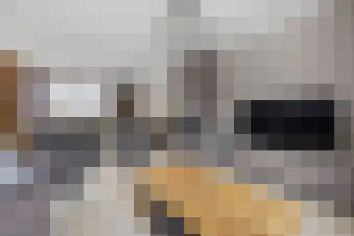 Rembrandtlaan 26 Oudheusden thumbnail 8