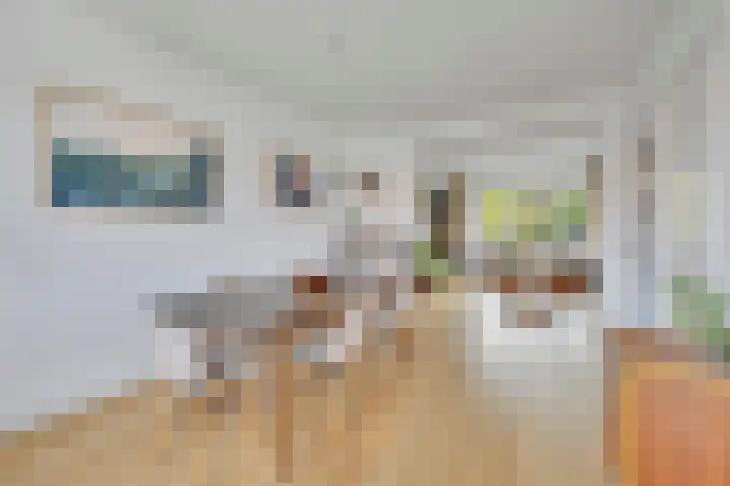 Rembrandtlaan 26 Voorburg thumbnail 20