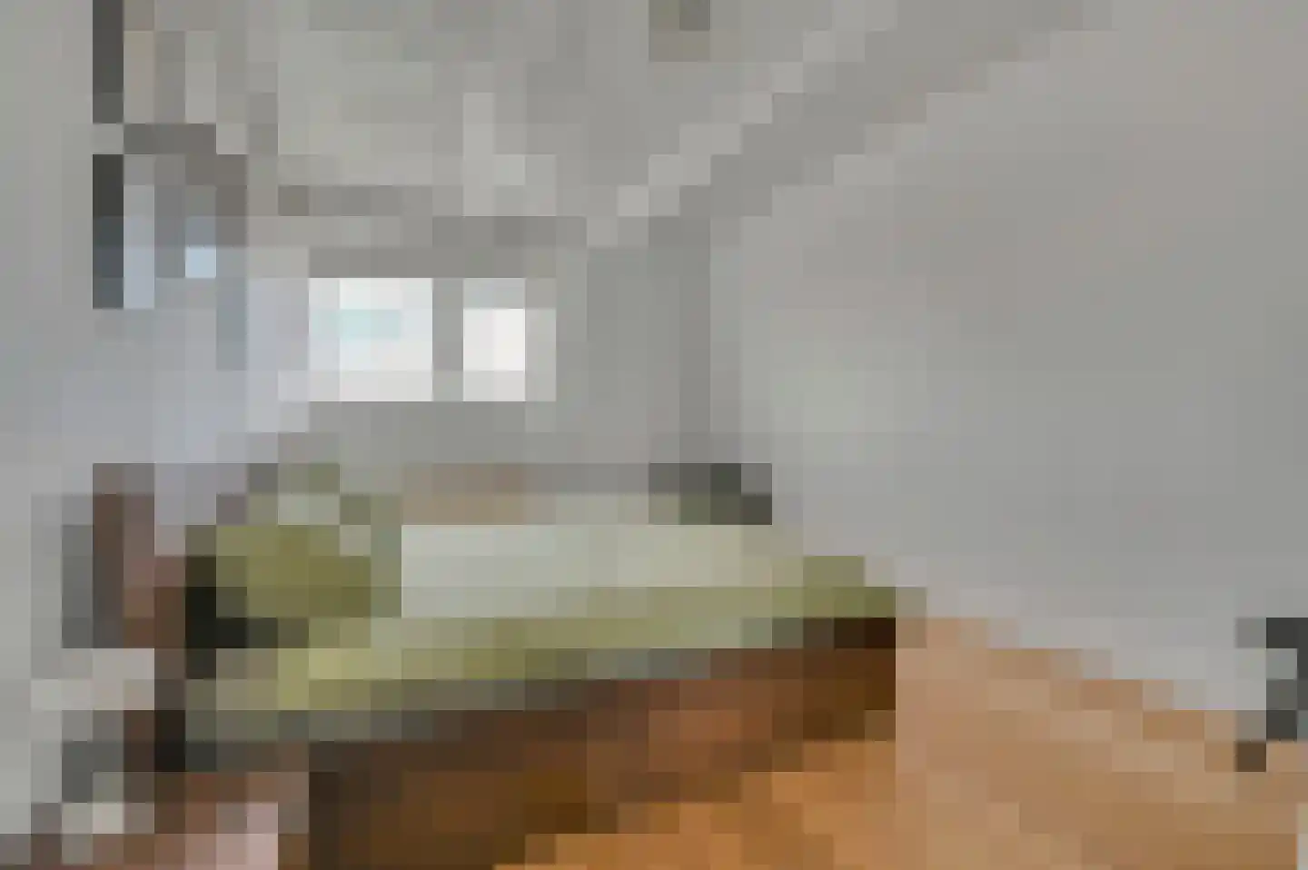 Rembrandtlaan 26 Voorburg thumbnail 26