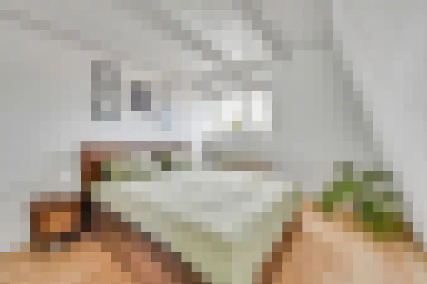 Rembrandtlaan 26 Voorburg thumbnail 27