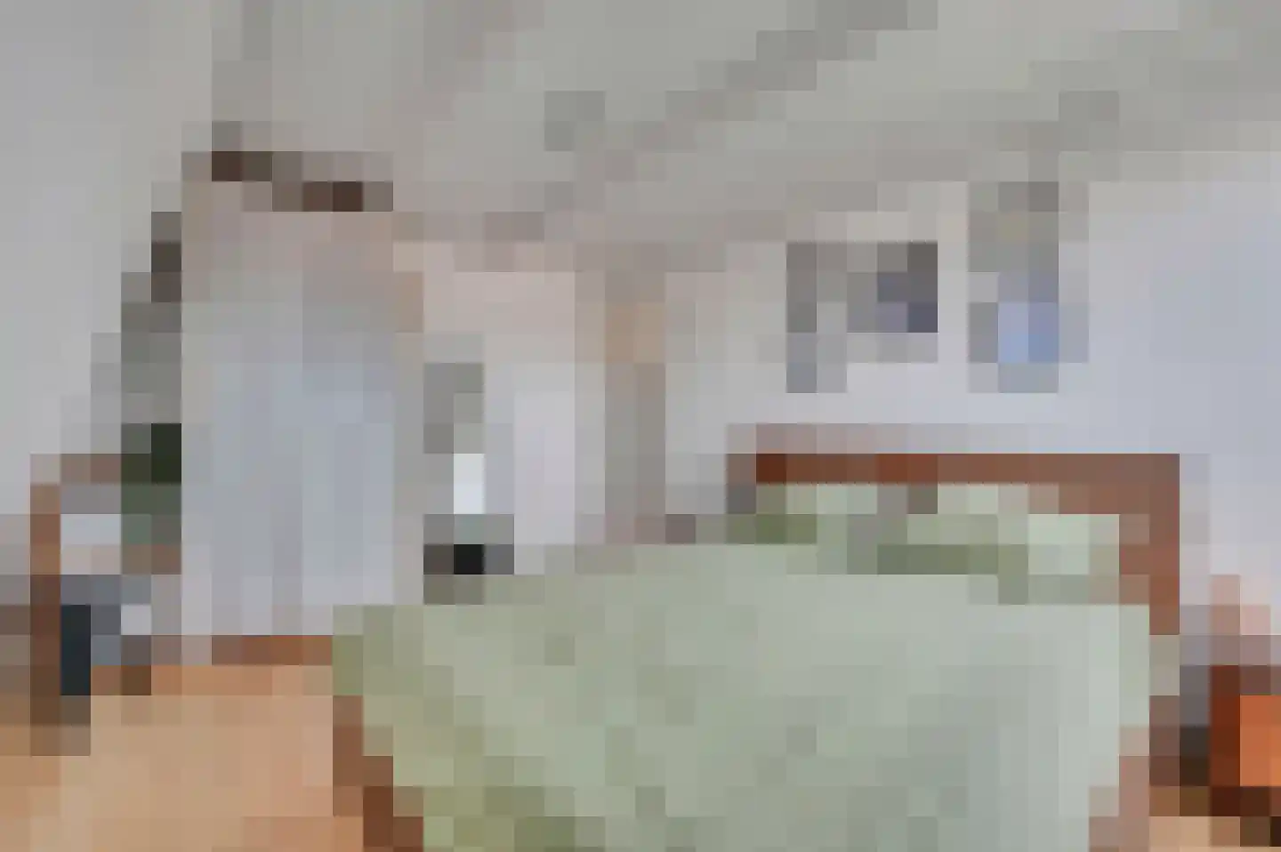 Rembrandtlaan 26 Voorburg thumbnail 28