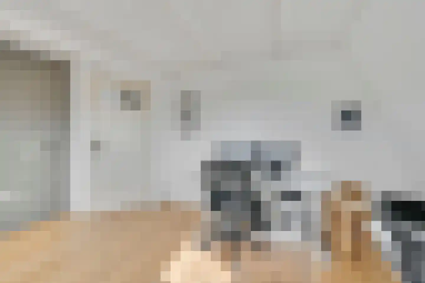 Rembrandtlaan 26 Voorburg thumbnail 32