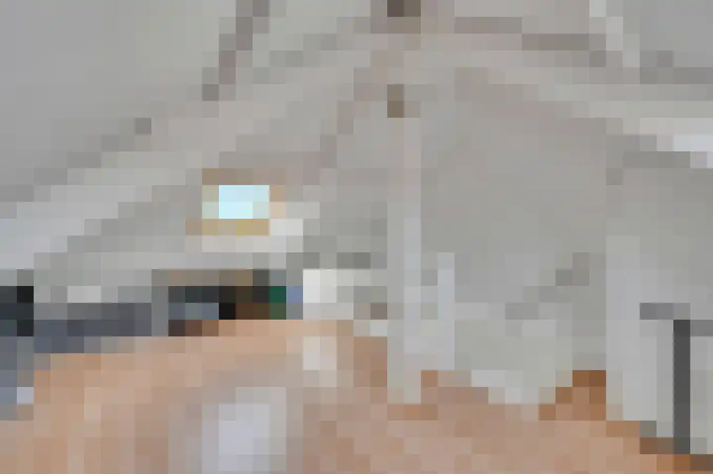 Rembrandtlaan 26 Voorburg thumbnail 34