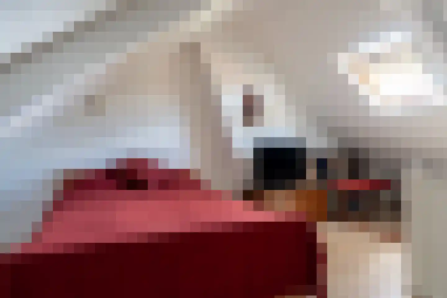 Rembrandtlaan 26 Winschoten thumbnail 34