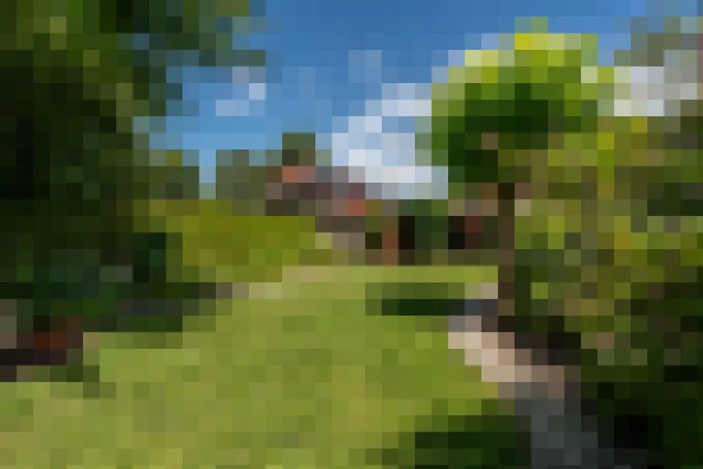 Rembrandtlaan 26 Winschoten thumbnail 36