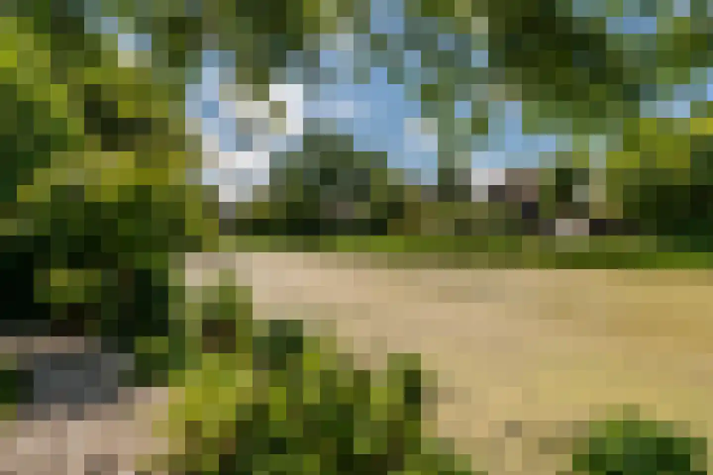 Rembrandtlaan 26 Winschoten thumbnail 39