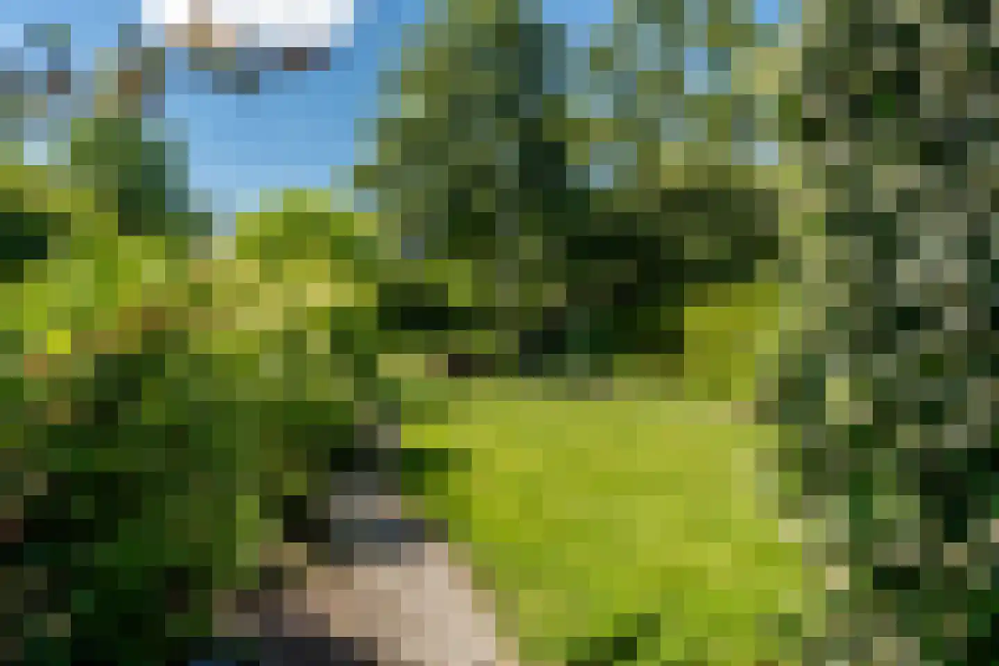 Rembrandtlaan 26 Winschoten thumbnail 43