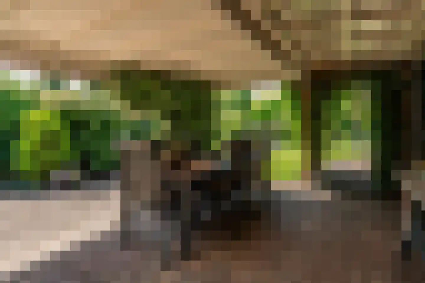 Rembrandtlaan 26 Winschoten thumbnail 46
