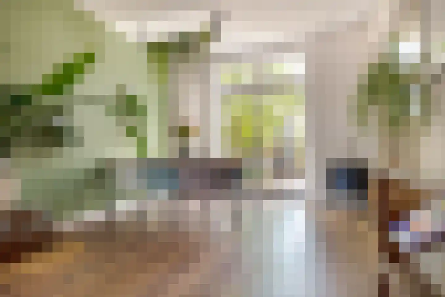 Rembrandtlaan 27 Zwolle thumbnail 14