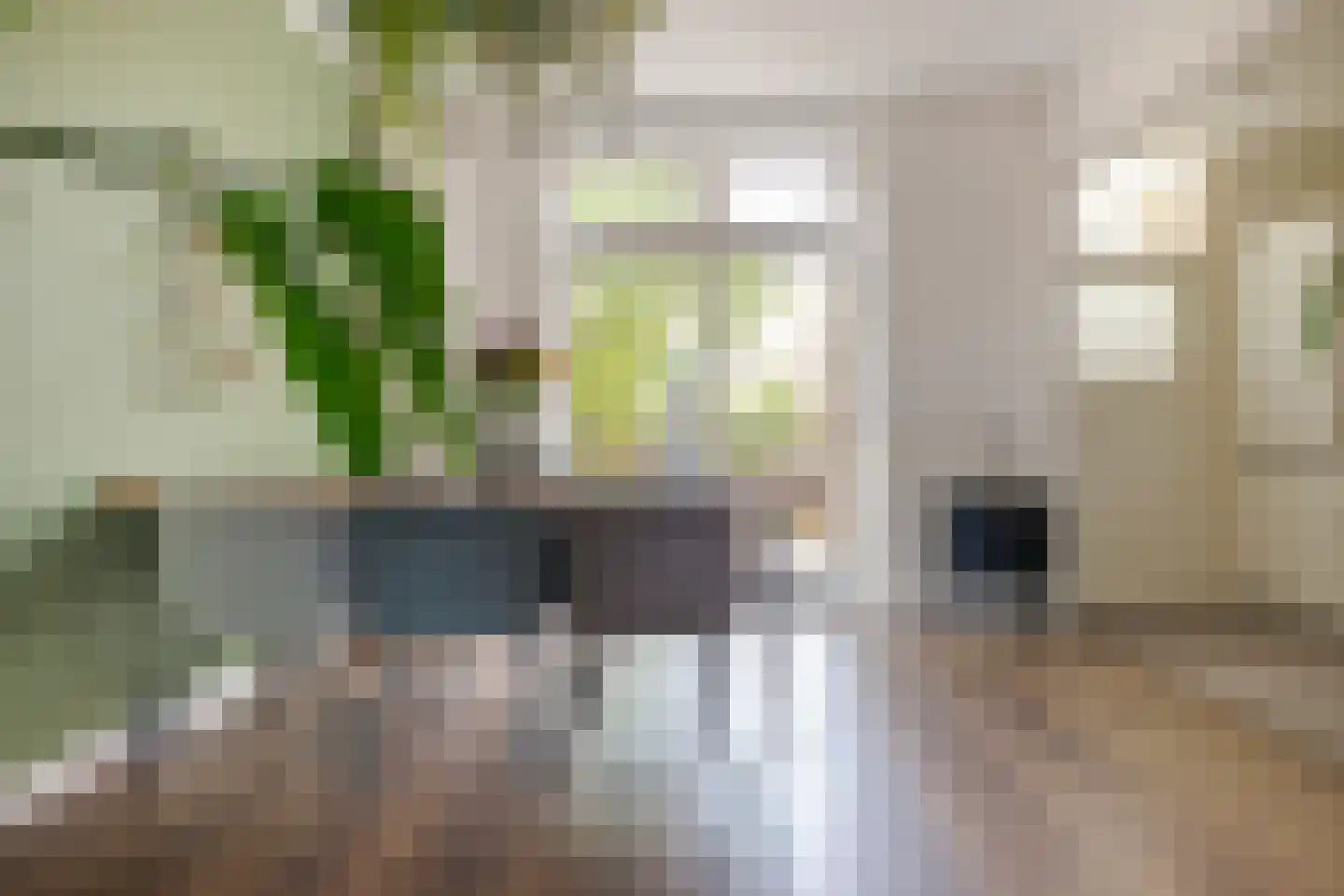 Rembrandtlaan 27 Zwolle thumbnail 15