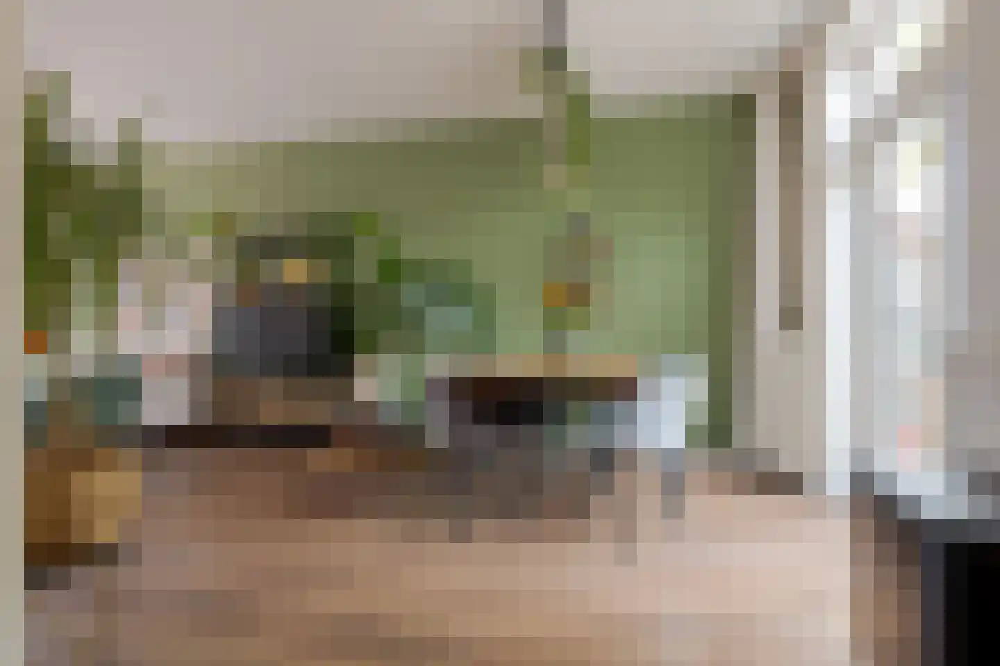 Rembrandtlaan 27 Zwolle thumbnail 16
