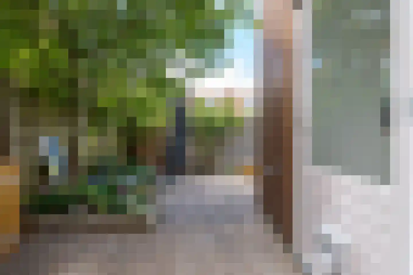 Rembrandtlaan 27 Zwolle thumbnail 24