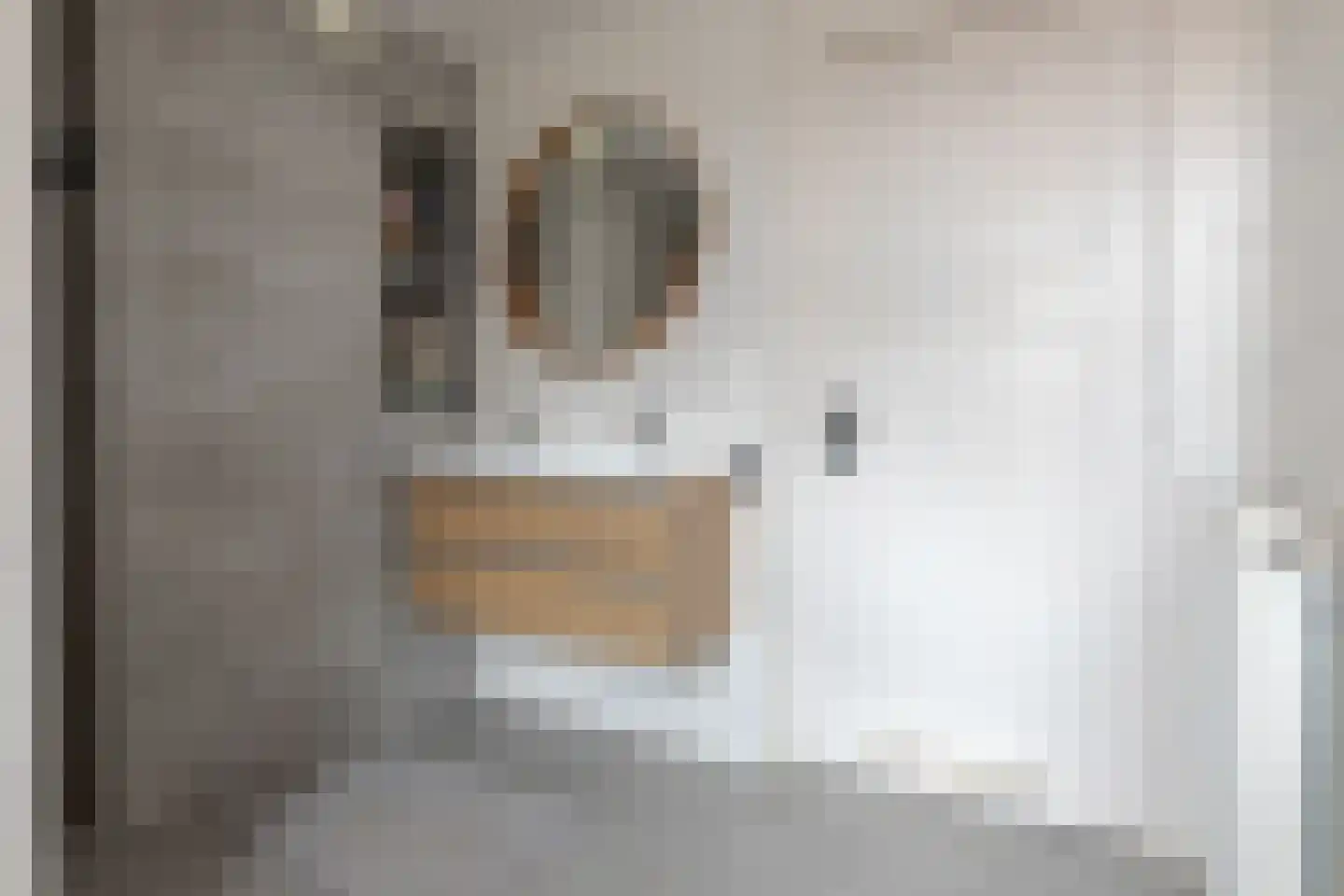 Rembrandtlaan 27 Zwolle thumbnail 32