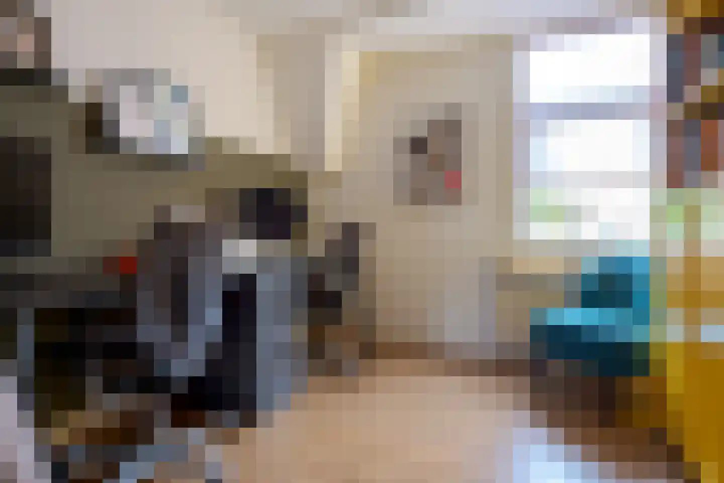 Rembrandtlaan 27 Zwolle thumbnail 38