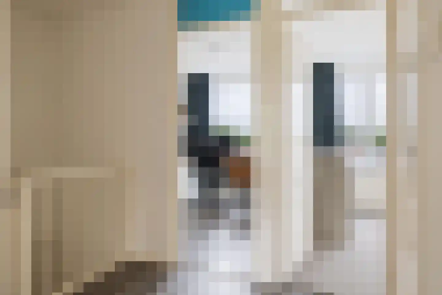 Rembrandtlaan 28 Coevorden thumbnail 17