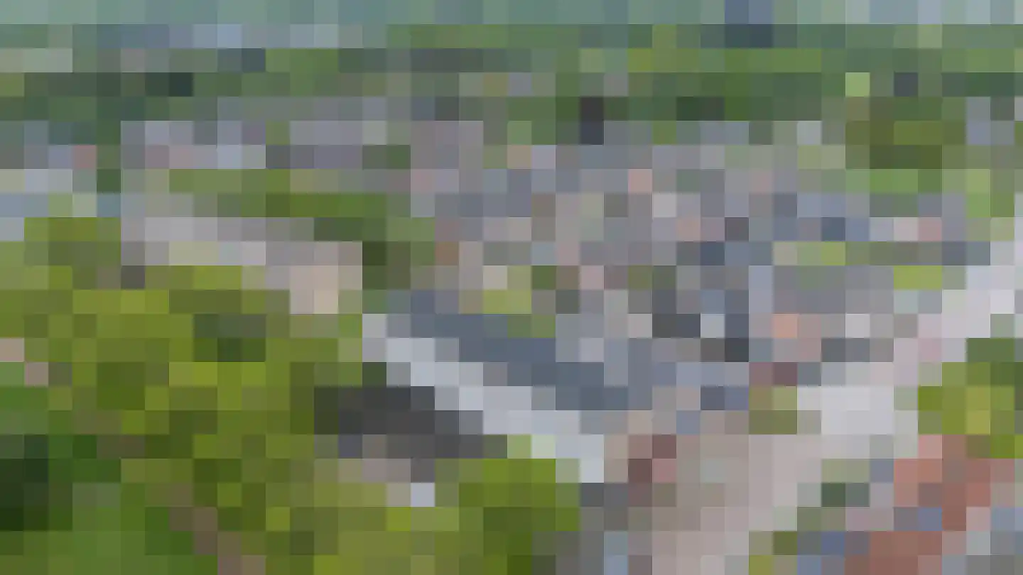 Rembrandtlaan 28 Coevorden thumbnail 32