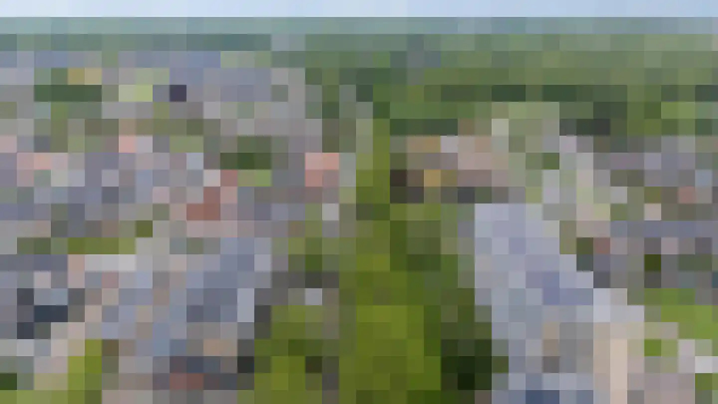 Rembrandtlaan 28 Coevorden thumbnail 34