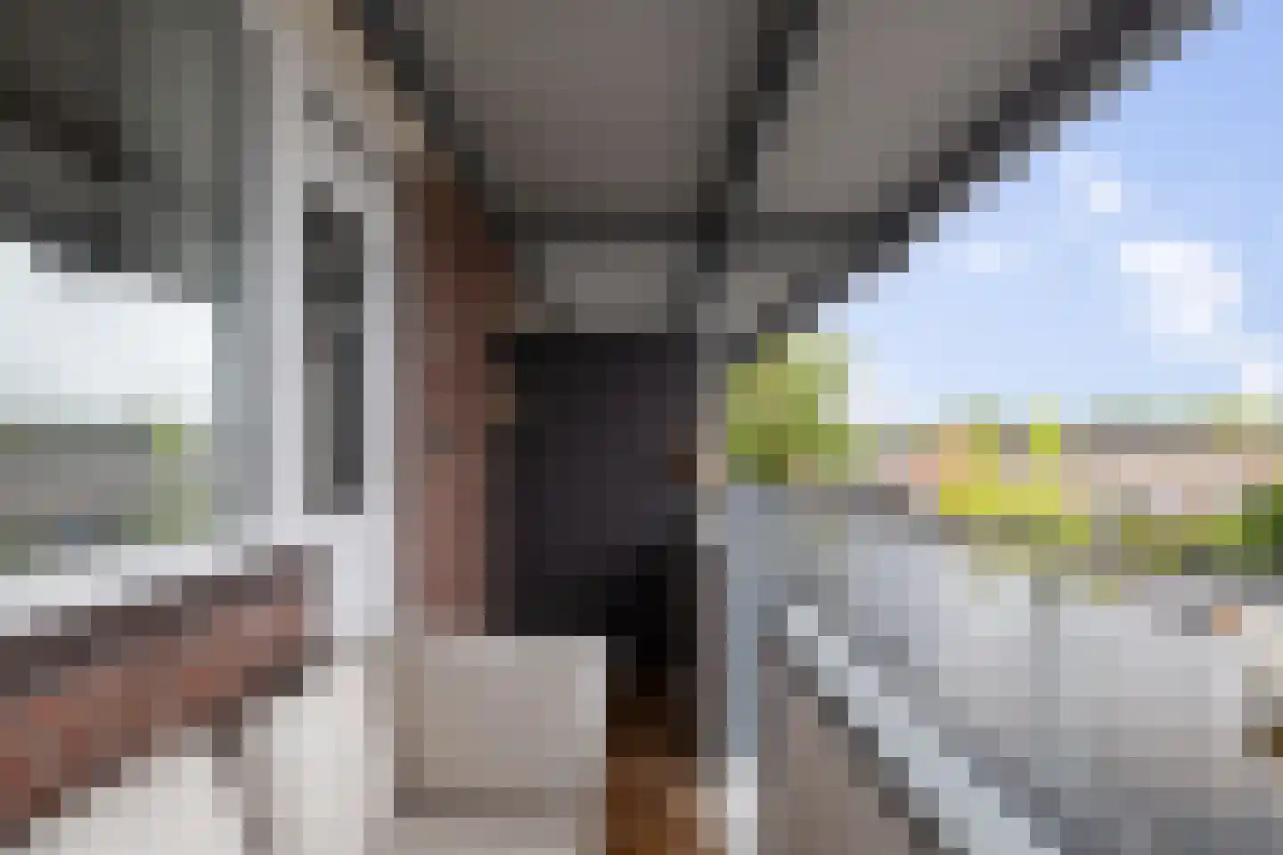 Rembrandtlaan 28 Coevorden thumbnail 4
