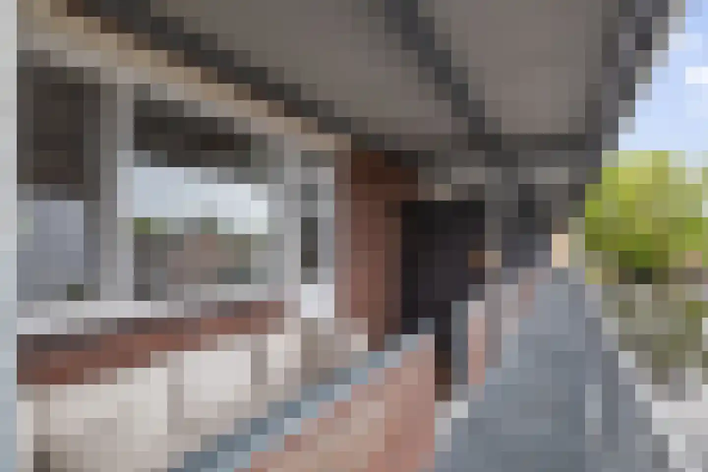 Rembrandtlaan 28 Coevorden thumbnail 7
