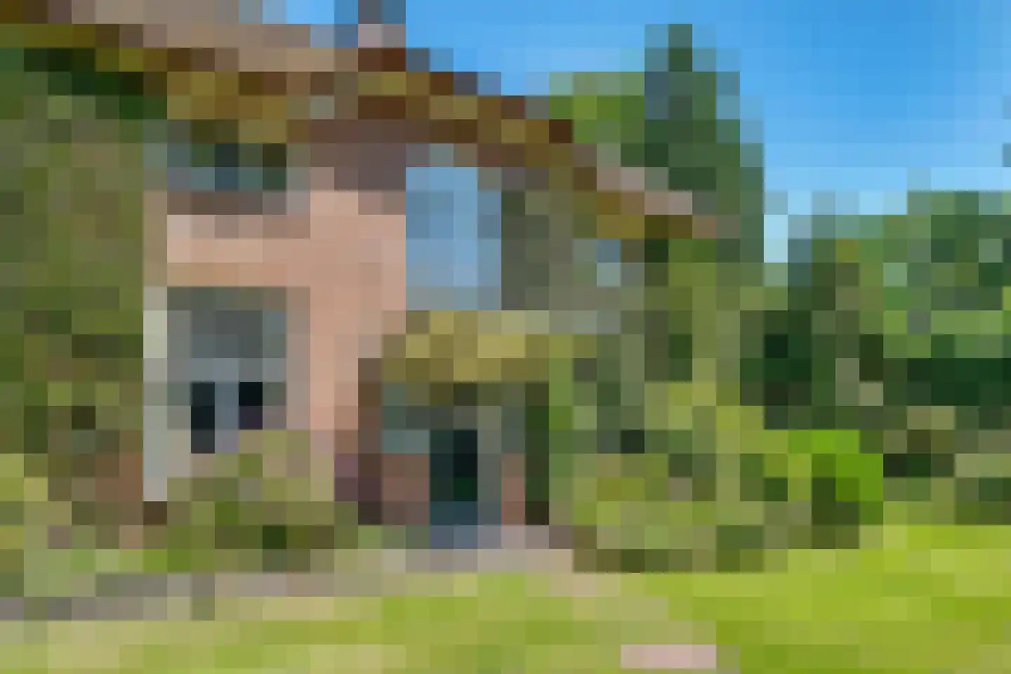 Rembrandtlaan 28 Huis ter Heide thumbnail 29