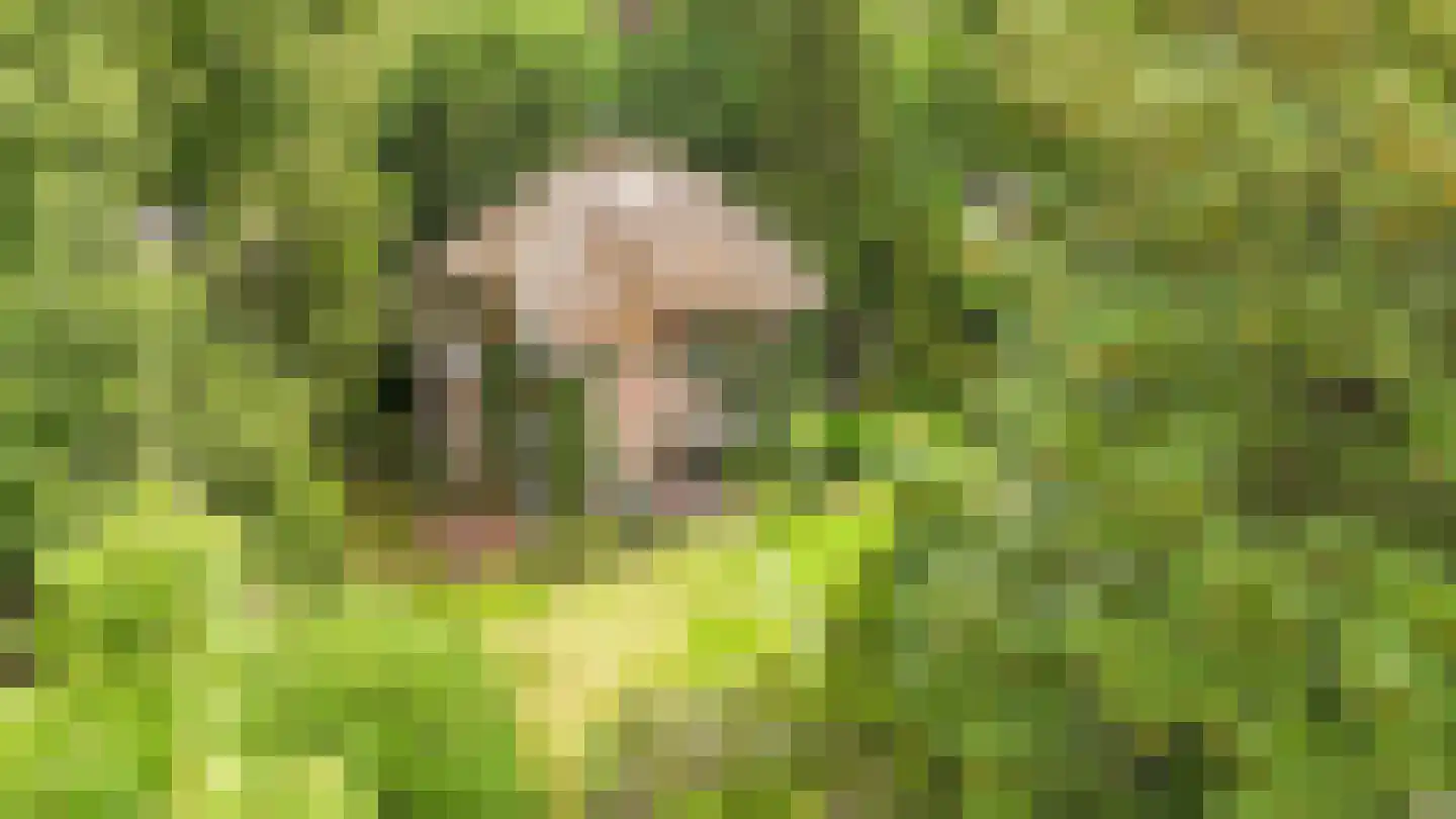 Rembrandtlaan 28 Huis ter Heide thumbnail 35