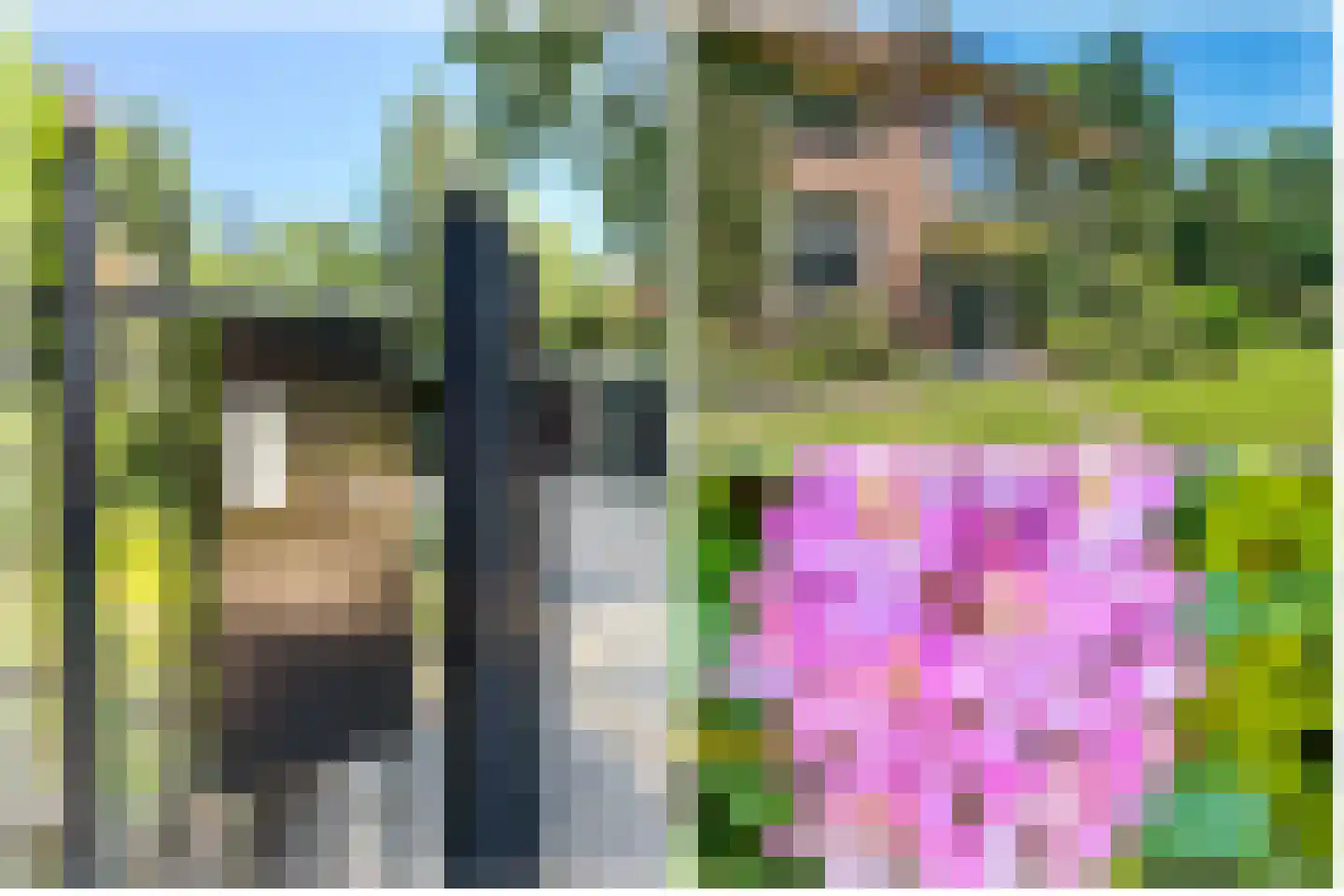 Rembrandtlaan 28 Huis ter Heide thumbnail 4