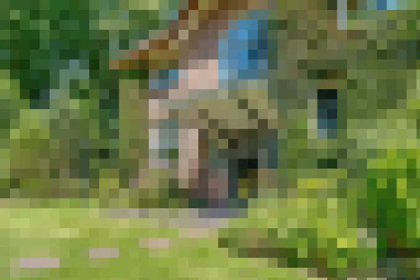 Rembrandtlaan 28 Huis ter Heide thumbnail 5