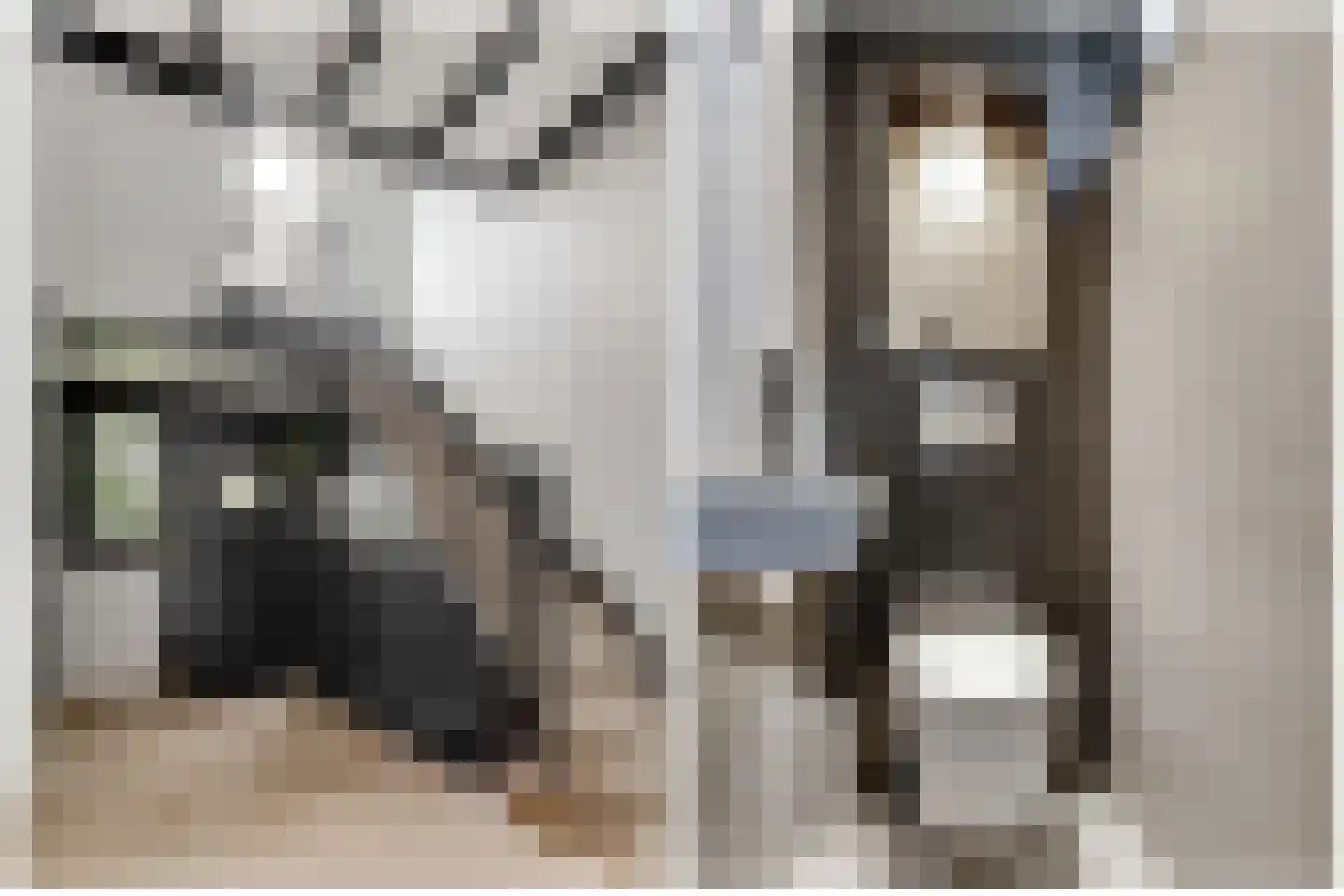 Rembrandtlaan 28 Huis ter Heide thumbnail 6
