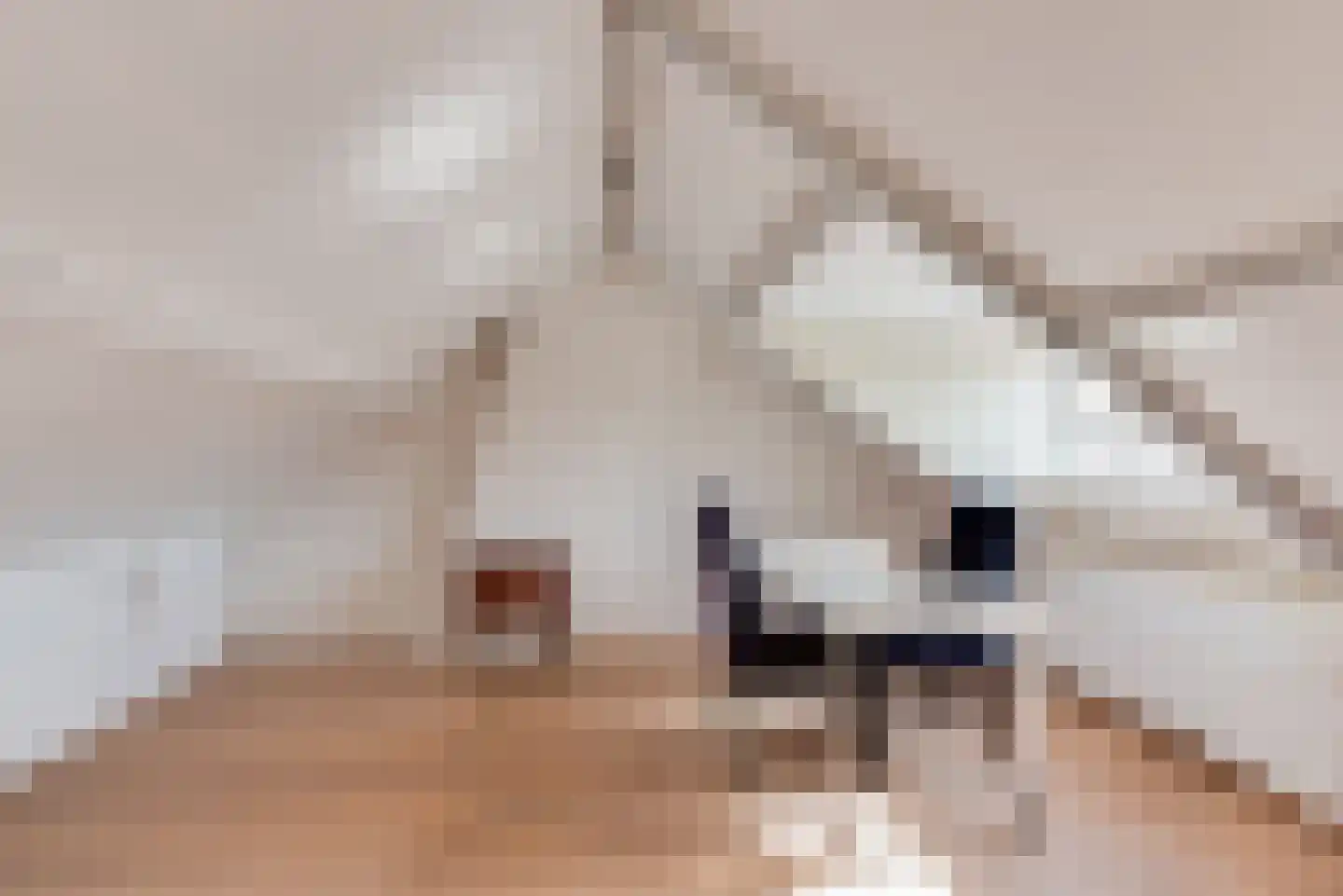 Rembrandtlaan 28 Loosdrecht thumbnail 30