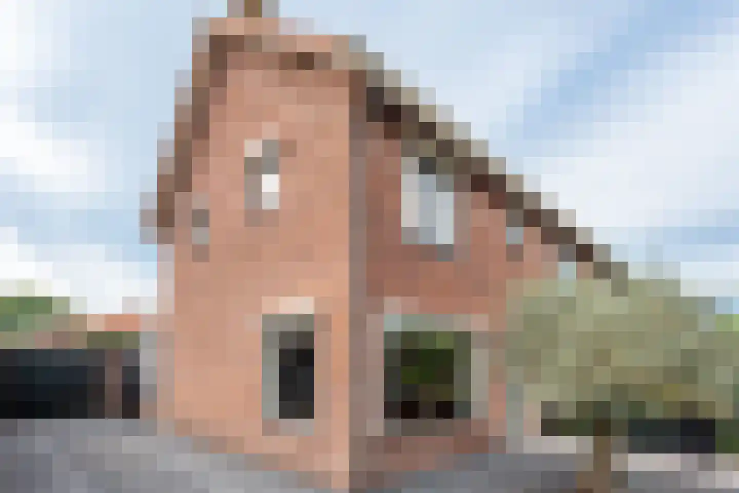 Rembrandtlaan 28 Loosdrecht thumbnail 33