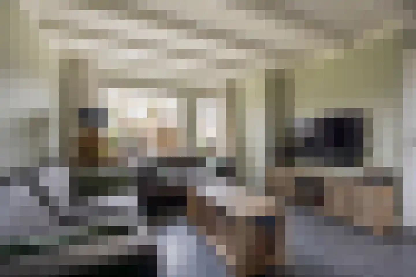 Rembrandtlaan 28 Nijkerk thumbnail 9