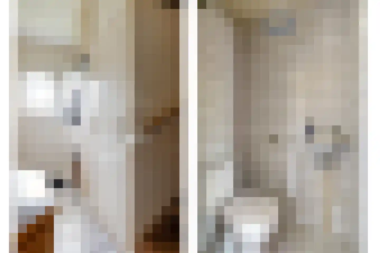 Rembrandtlaan 28 Scherpenzeel thumbnail 13