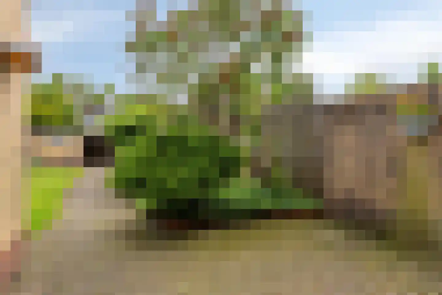 Rembrandtlaan 28 Scherpenzeel thumbnail 27