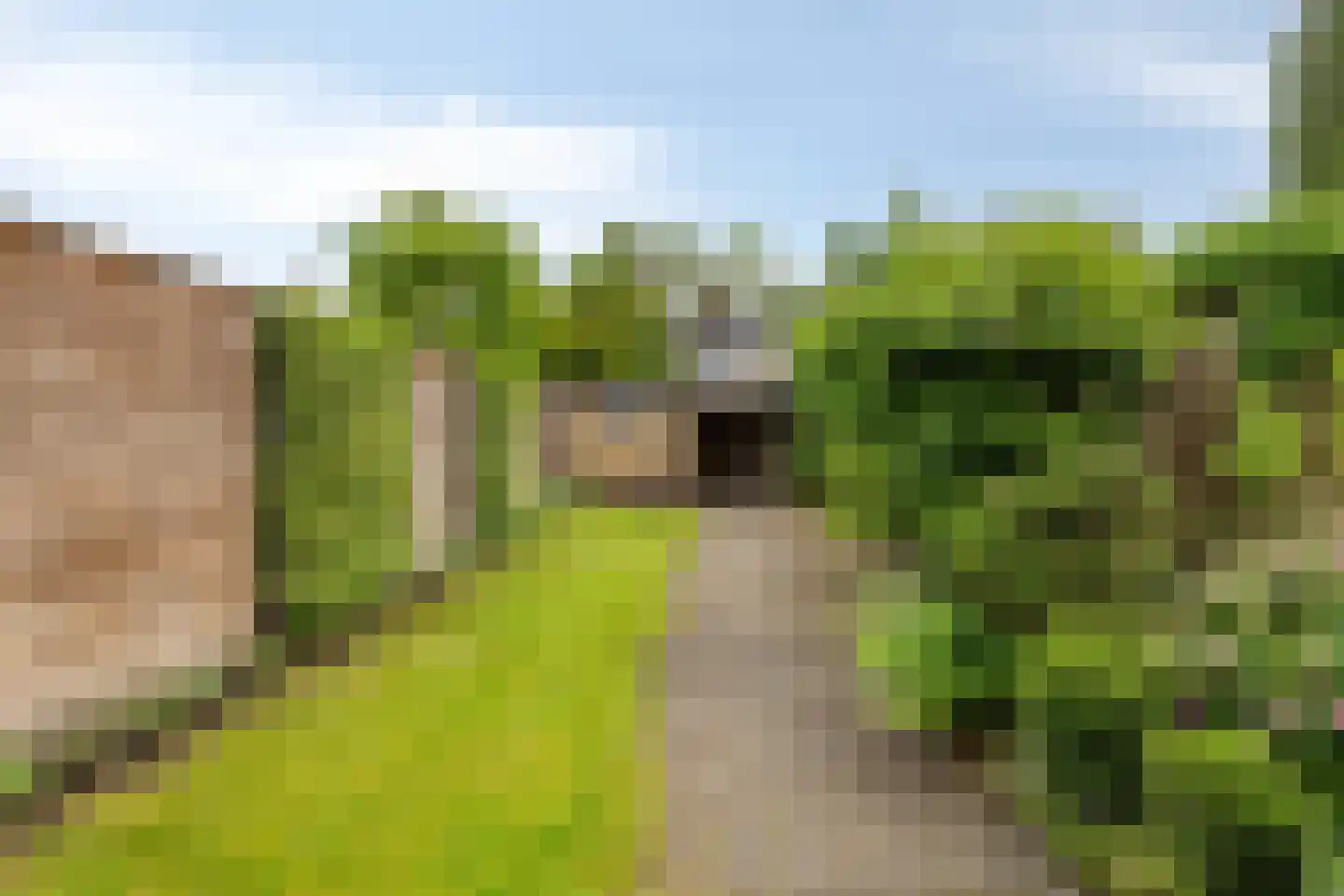 Rembrandtlaan 28 Scherpenzeel foto 3
