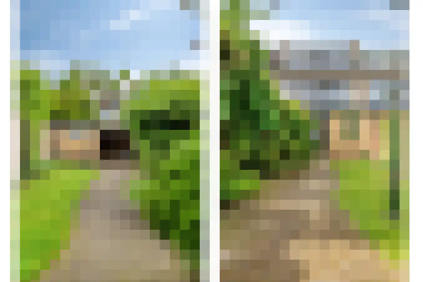 Rembrandtlaan 28 Scherpenzeel thumbnail 30