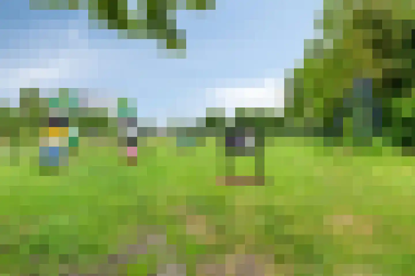 Rembrandtlaan 28 Scherpenzeel thumbnail 36