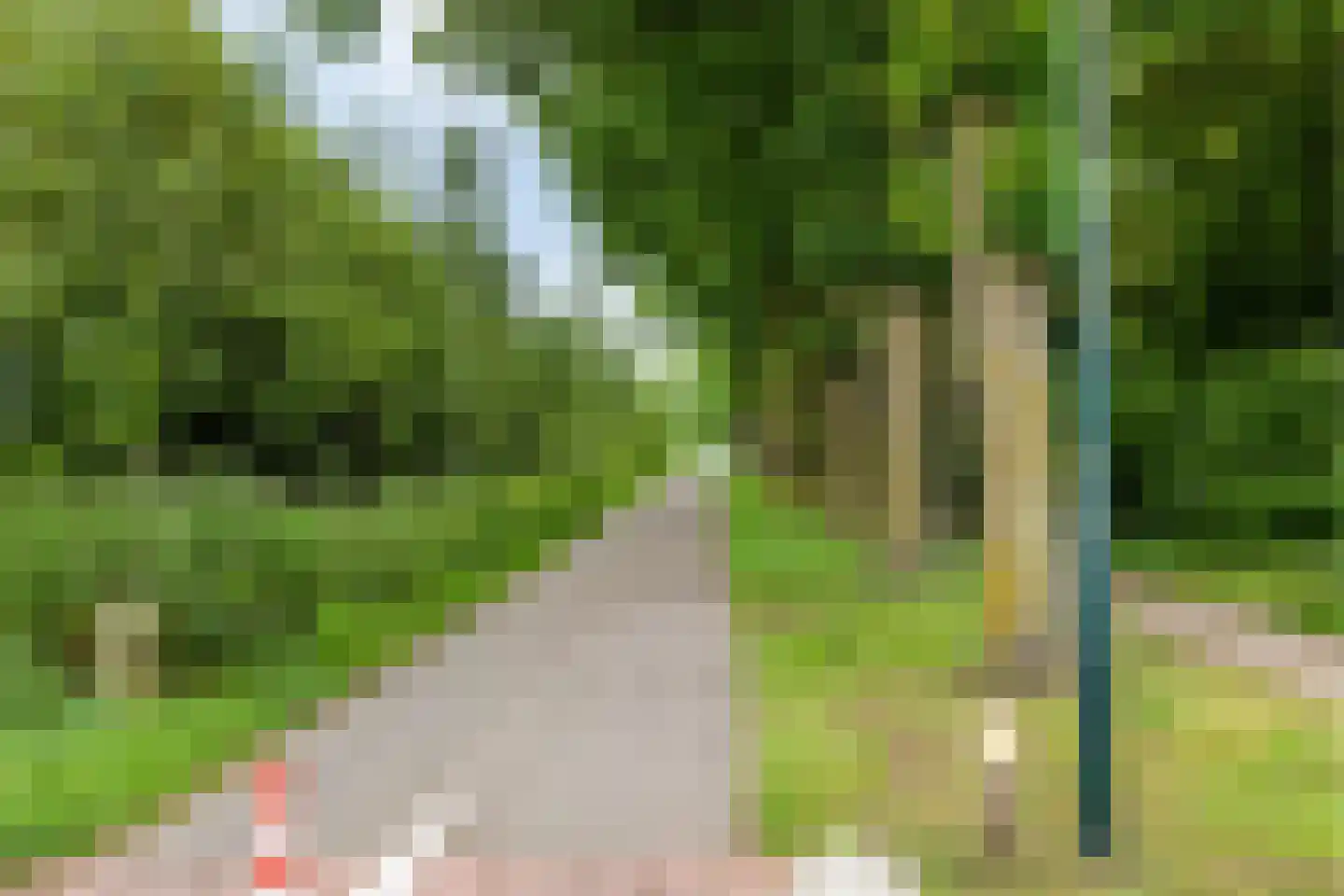 Rembrandtlaan 28 Scherpenzeel thumbnail 37