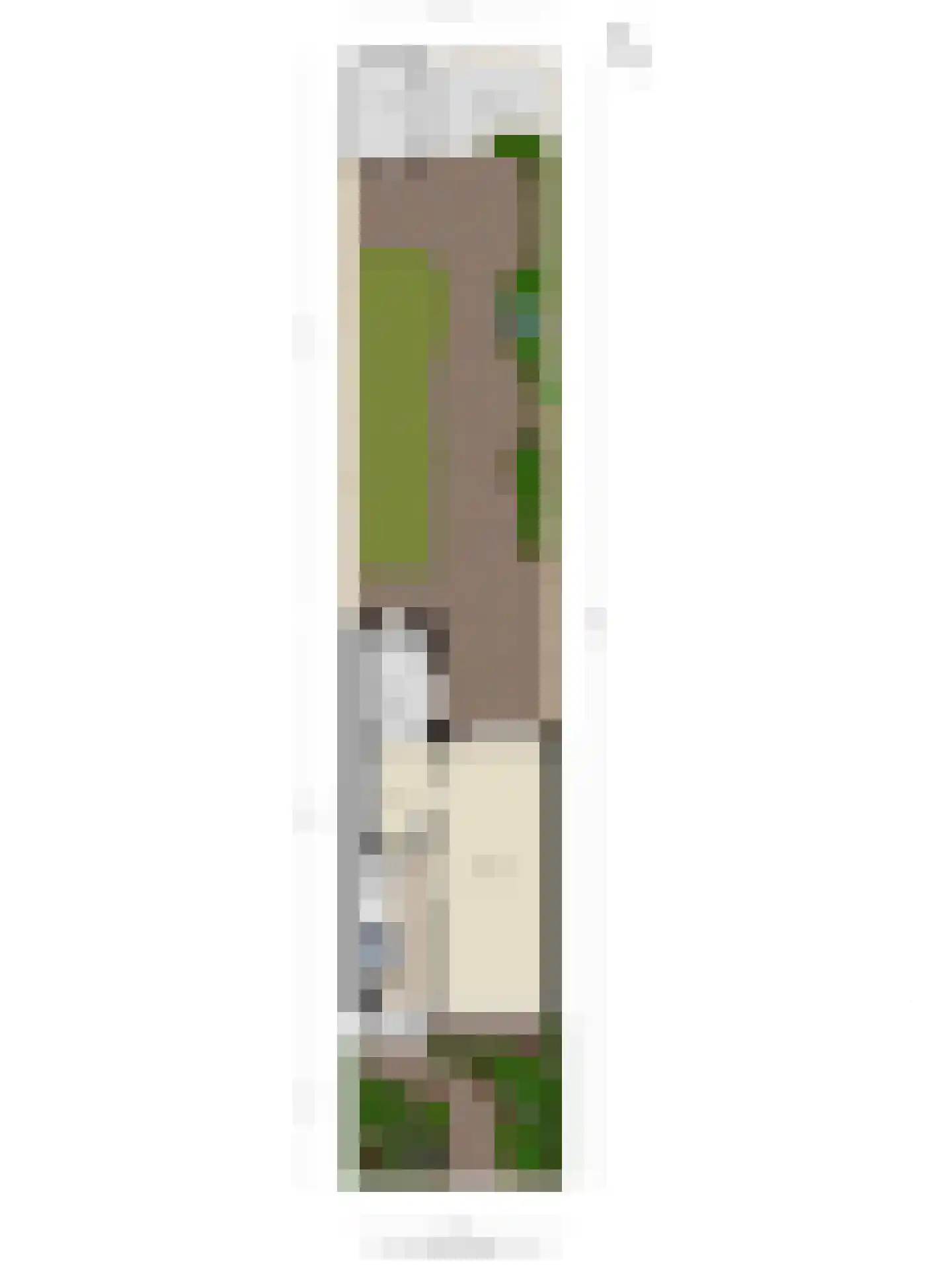 Rembrandtlaan 28 Scherpenzeel thumbnail 38