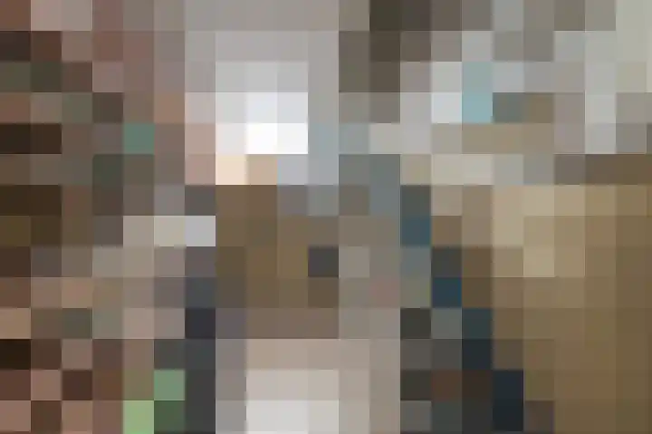 Rembrandtlaan 29 Geleen thumbnail 25