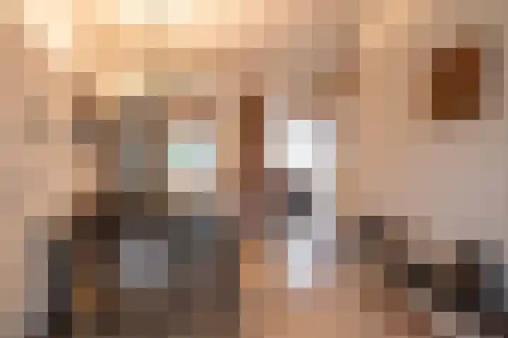 Rembrandtlaan 29 Geleen thumbnail 8