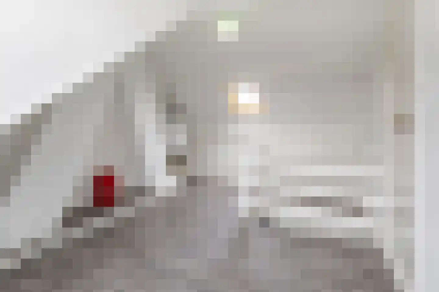 Rembrandtlaan 29 Sliedrecht thumbnail 19